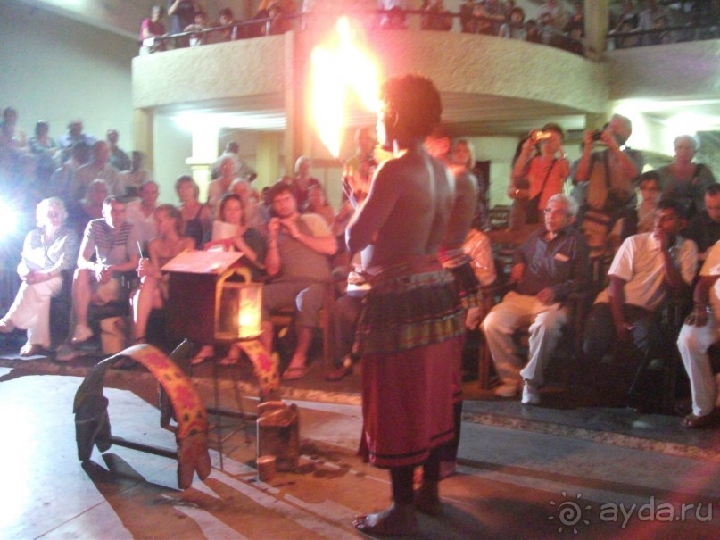 Шри-Ланка - две недели лета зимой!