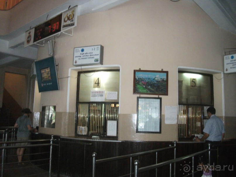 Шри-Ланка - две недели лета зимой!