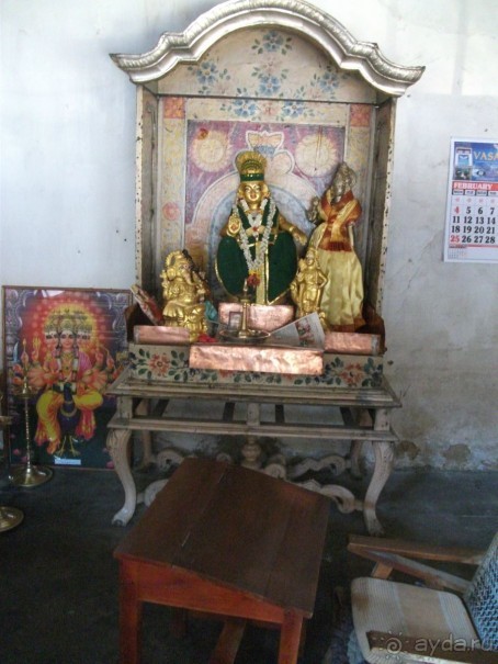 Шри-Ланка - две недели лета зимой!