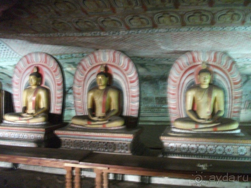 Шри-Ланка - две недели лета зимой!