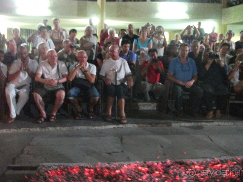 Шри-Ланка - две недели лета зимой!