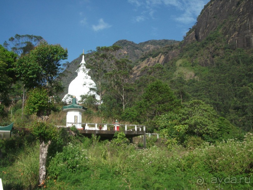 Шри-Ланка - две недели лета зимой!