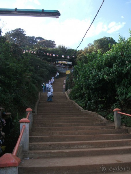 Шри-Ланка - две недели лета зимой!