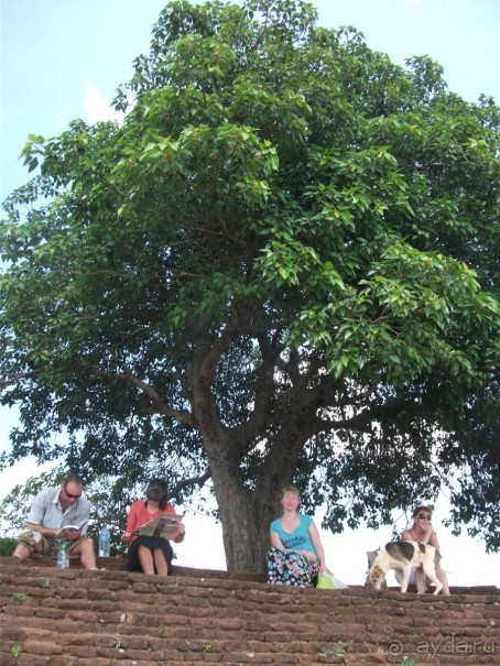 Шри-Ланка - две недели лета зимой!