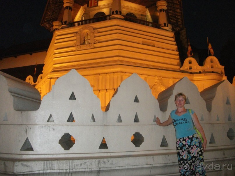 Шри-Ланка - две недели лета зимой!