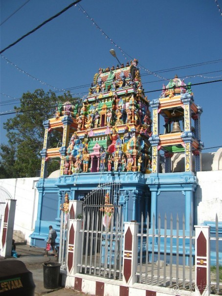 Шри-Ланка - две недели лета зимой!