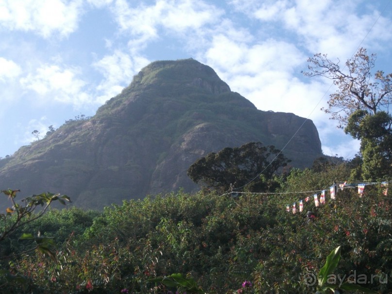 Шри-Ланка - две недели лета зимой!