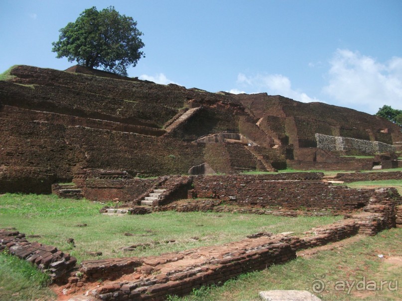 Шри-Ланка - две недели лета зимой!