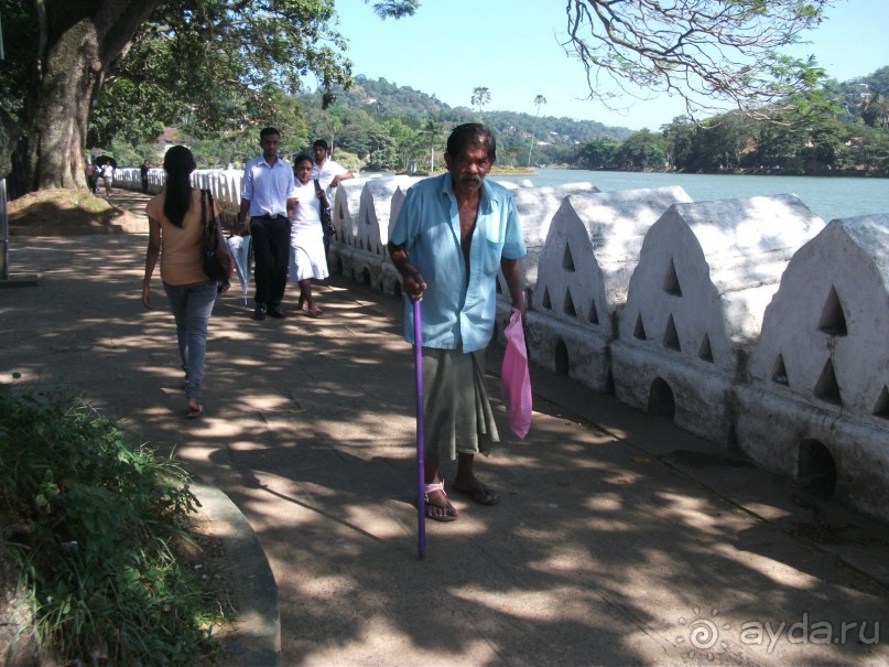 Шри-Ланка - две недели лета зимой!