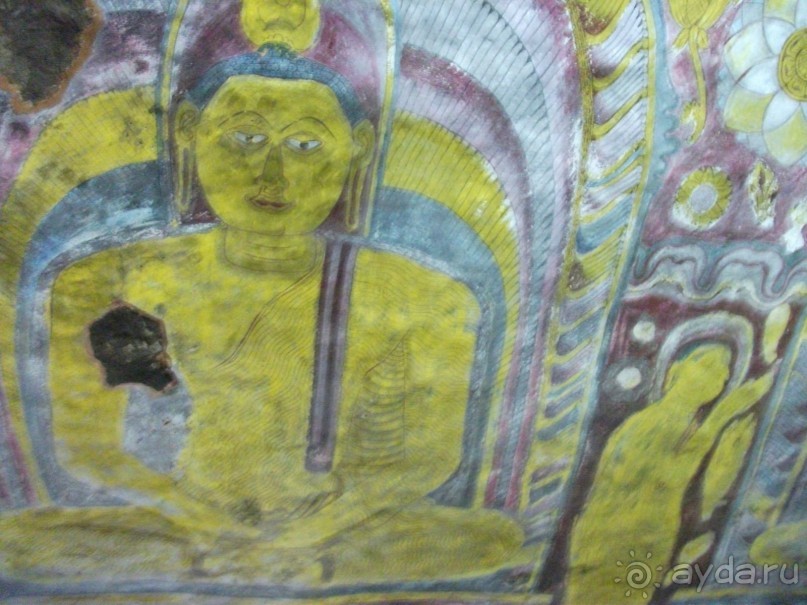 Шри-Ланка - две недели лета зимой!