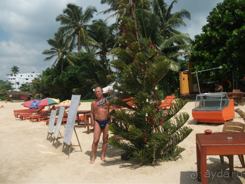 Шри-Ланка - две недели лета зимой!