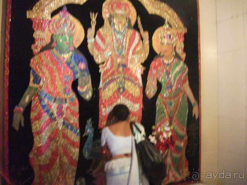 Шри-Ланка - две недели лета зимой!