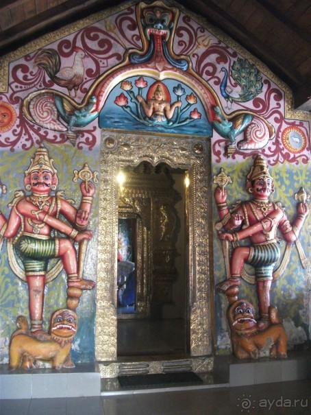 Шри-Ланка - две недели лета зимой!