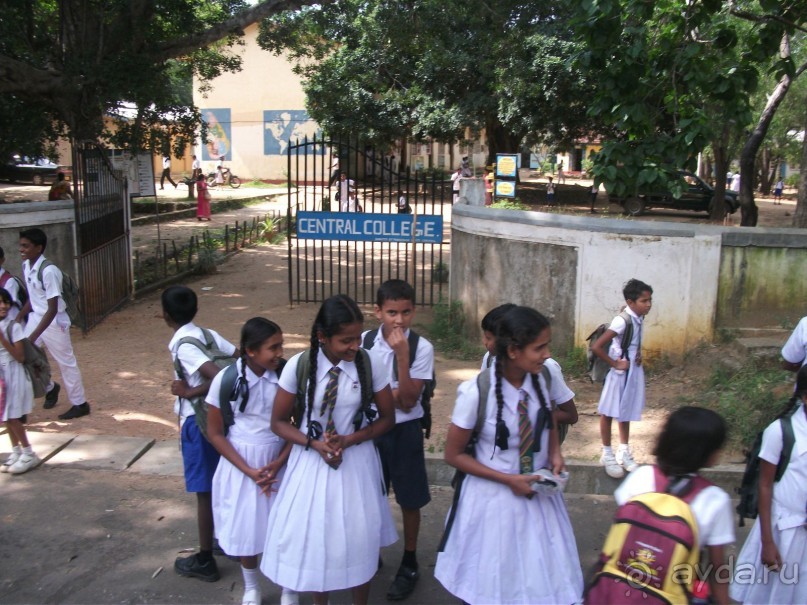 Шри-Ланка - две недели лета зимой!