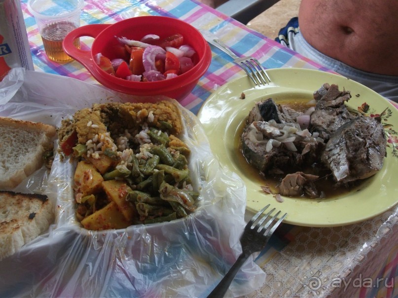 Шри-Ланка - две недели лета зимой!