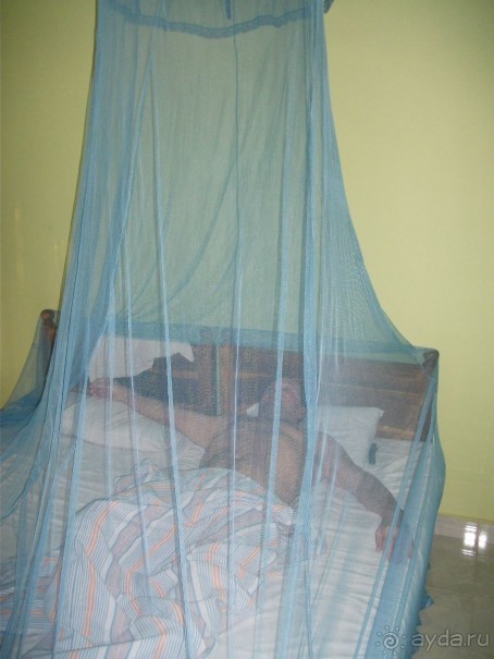 Шри-Ланка - две недели лета зимой!