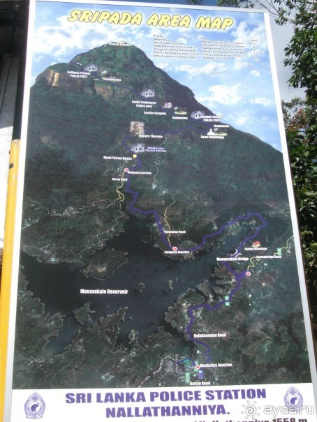 Шри-Ланка - две недели лета зимой!