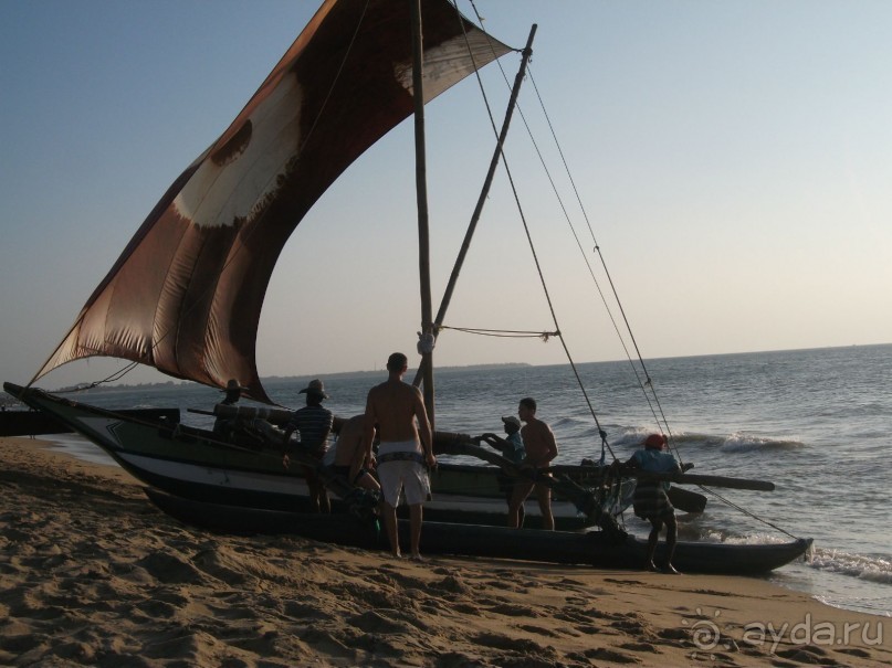 Шри-Ланка - две недели лета зимой!