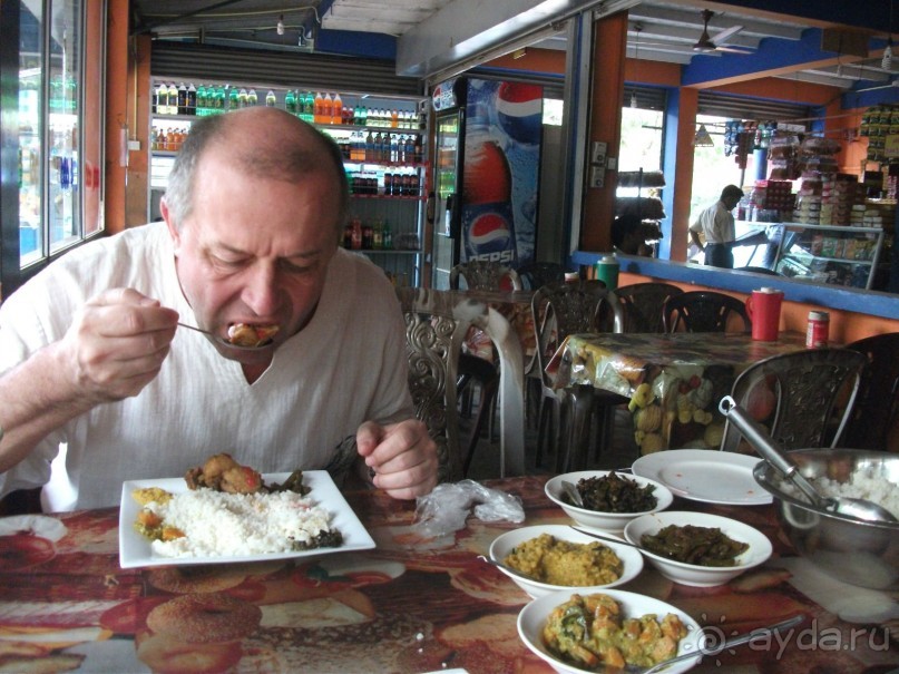 Шри-Ланка - две недели лета зимой!