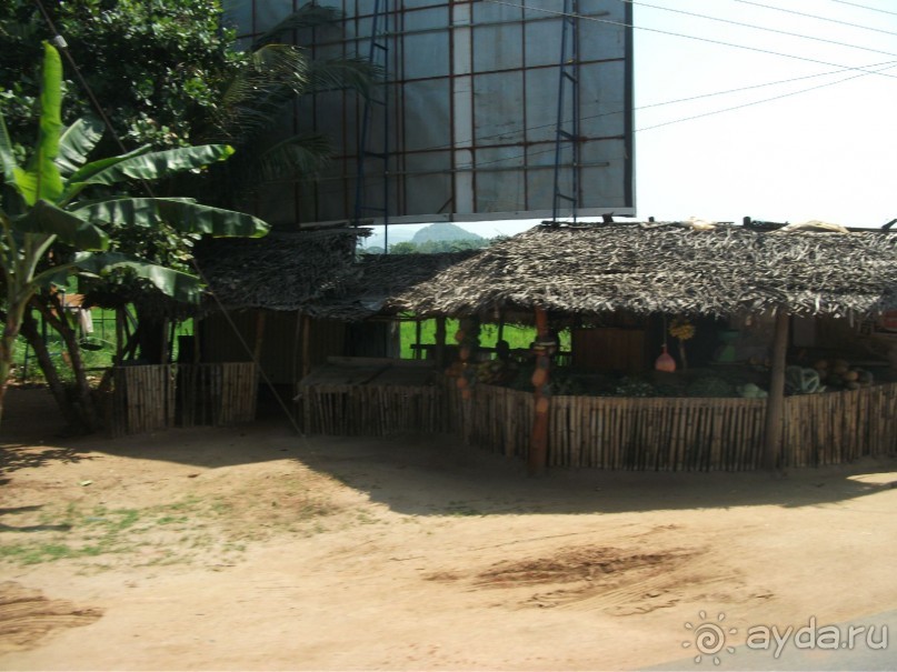 Шри-Ланка - две недели лета зимой!