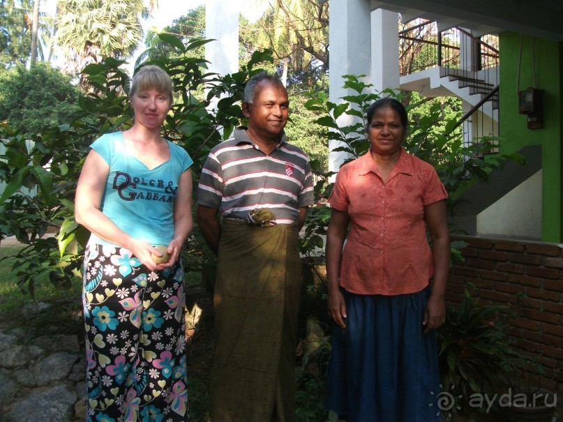 Шри-Ланка - две недели лета зимой!