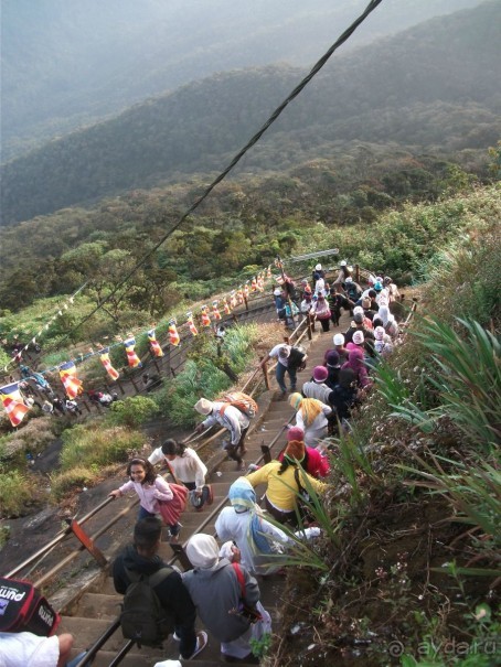 Шри-Ланка - две недели лета зимой!