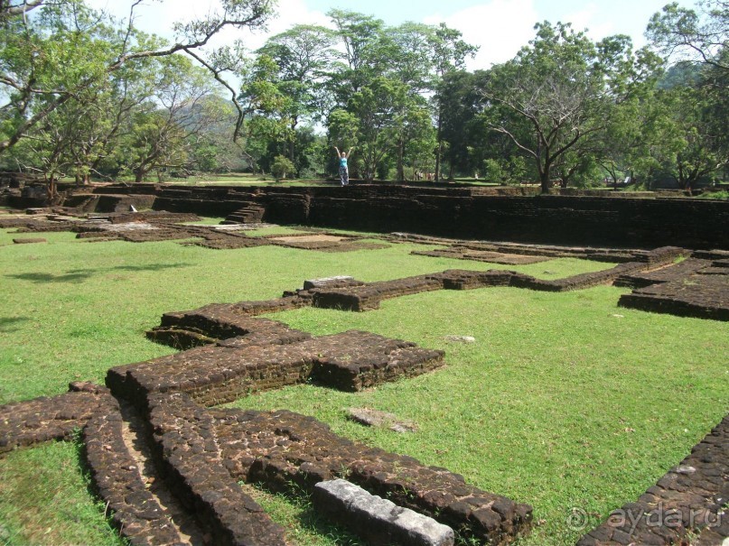 Шри-Ланка - две недели лета зимой!