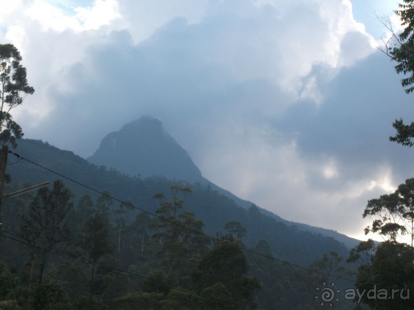 Шри-Ланка - две недели лета зимой!