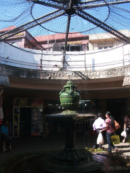 Шри-Ланка - две недели лета зимой!