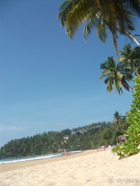 Шри-Ланка - две недели лета зимой!