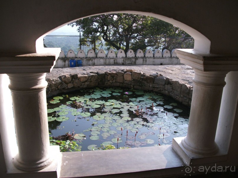 Шри-Ланка - две недели лета зимой!