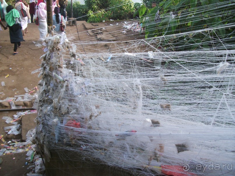 Шри-Ланка - две недели лета зимой!