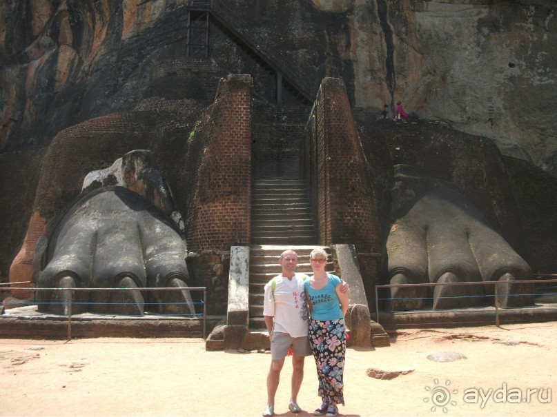 Шри-Ланка - две недели лета зимой!