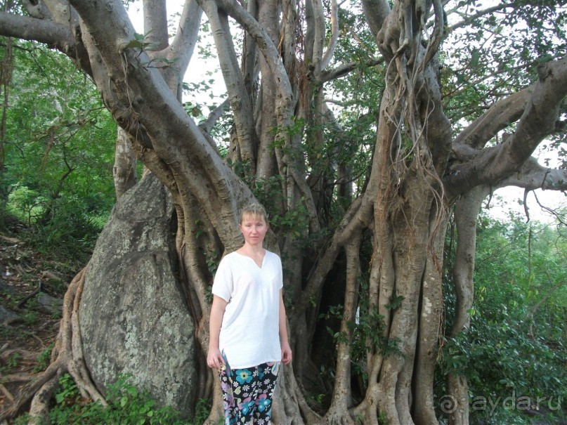 Шри-Ланка - две недели лета зимой!