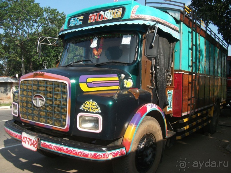 Шри-Ланка - две недели лета зимой!