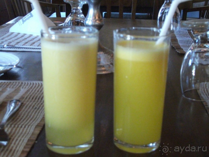 Шри-Ланка - две недели лета зимой!