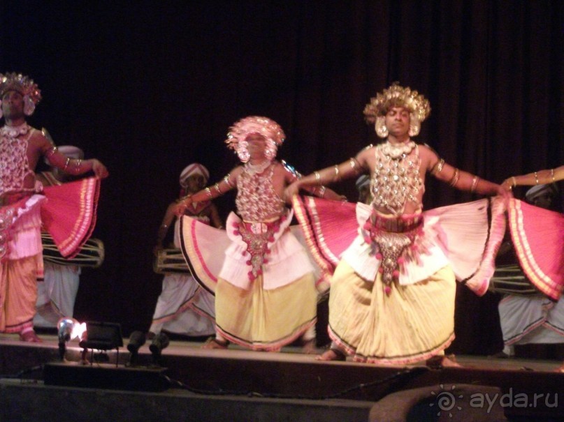 Шри-Ланка - две недели лета зимой!