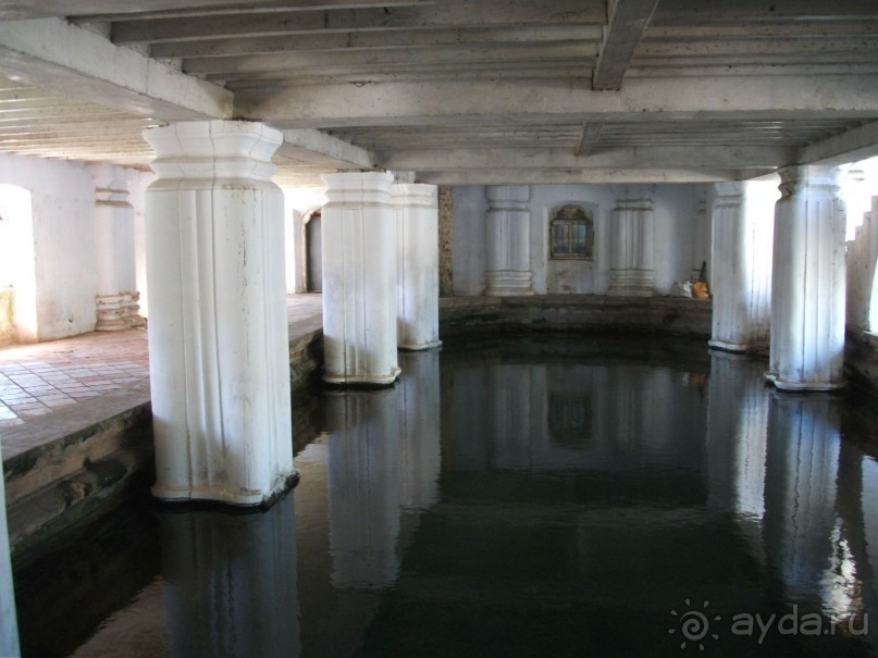 Шри-Ланка - две недели лета зимой!