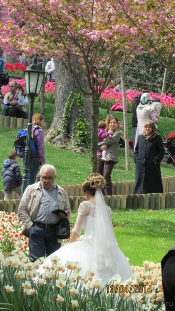 Фестиваль тюльпанов в Стамбуле