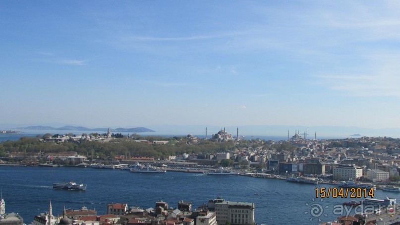 Фестиваль тюльпанов в Стамбуле