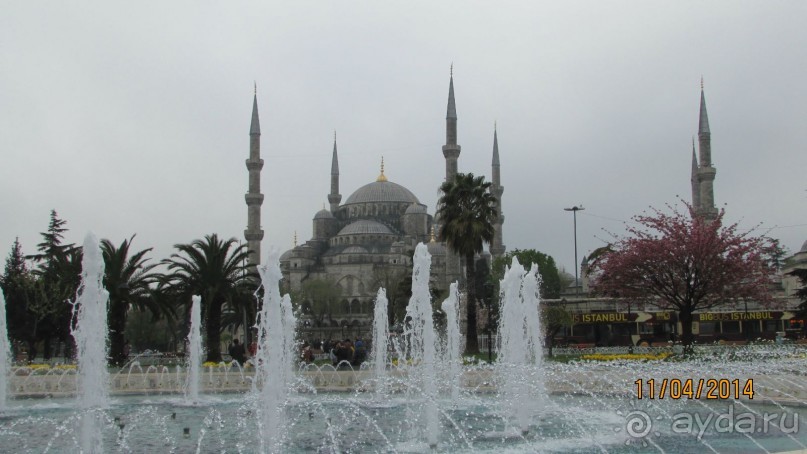 Фестиваль тюльпанов в Стамбуле