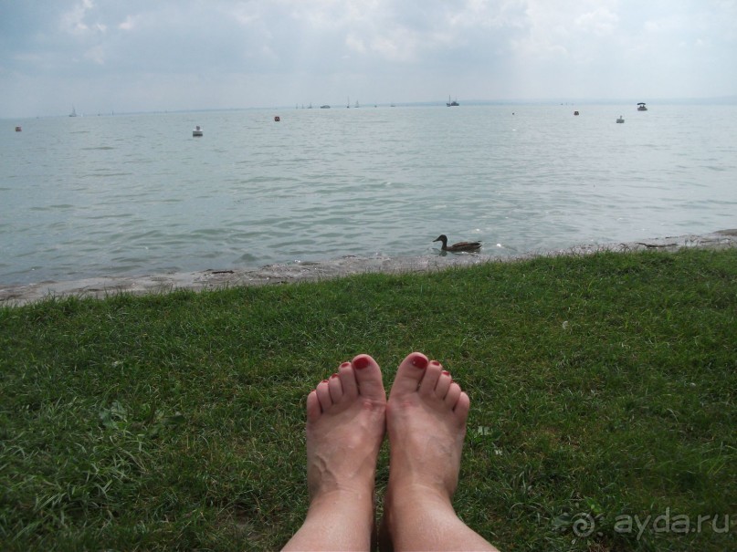 Альбом отзыва "Балатонфюред"