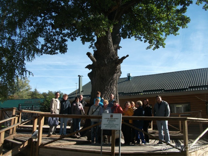 Графский заповедник - лес, бобры, монастырь