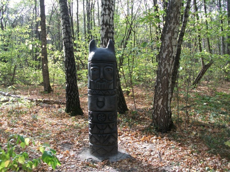 Графский заповедник - лес, бобры, монастырь