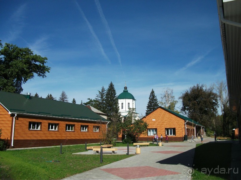 Графский заповедник - лес, бобры, монастырь
