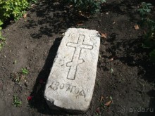 Графский заповедник - лес, бобры, монастырь