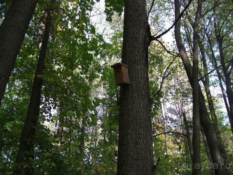 Графский заповедник - лес, бобры, монастырь