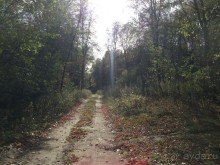 Графский заповедник - лес, бобры, монастырь