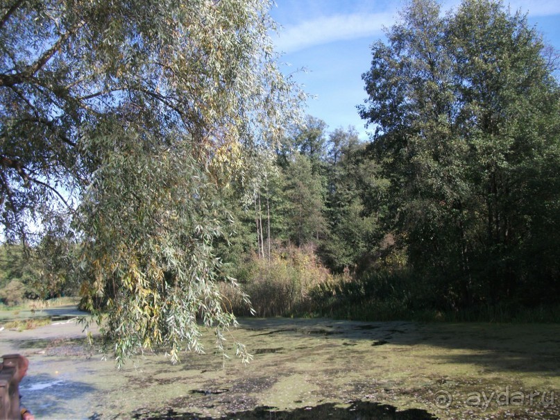 Графский заповедник - лес, бобры, монастырь