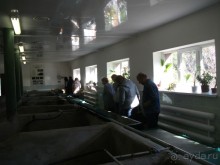 Графский заповедник - лес, бобры, монастырь